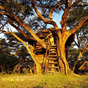 Wilderness Experience