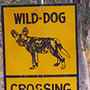 Wilderness Experience